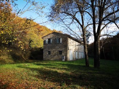 Fattoria scuola2