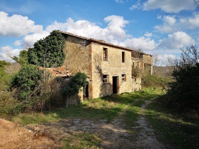 Galeto - IMG_20210313_160105